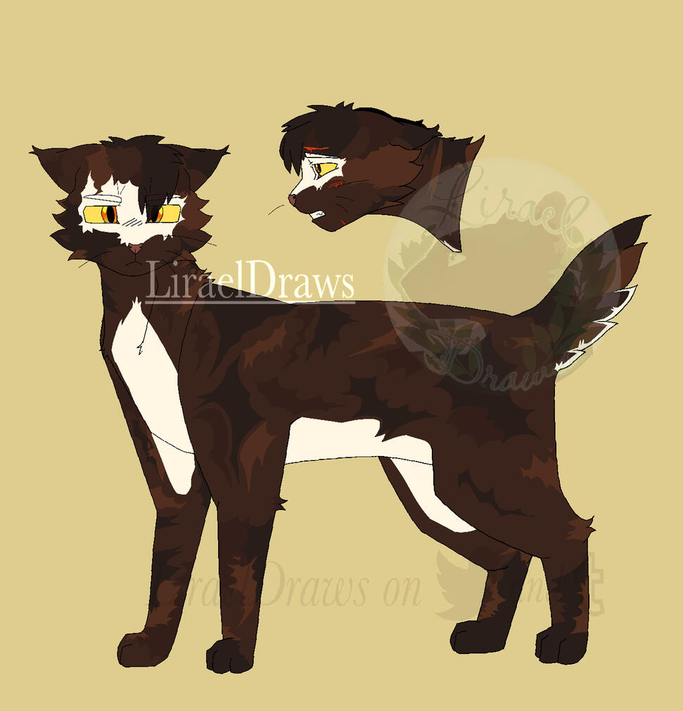 OC Reference Sheet .3