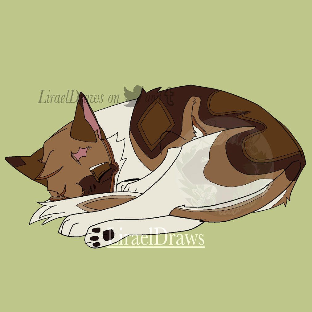 OC Sleeping pose